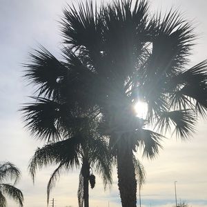 Meet your Posher, Ace